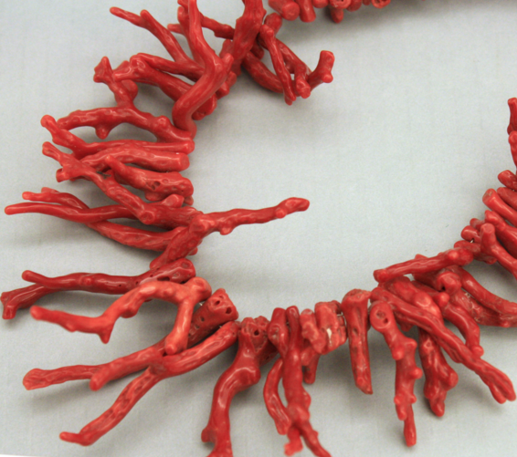 red coral branch